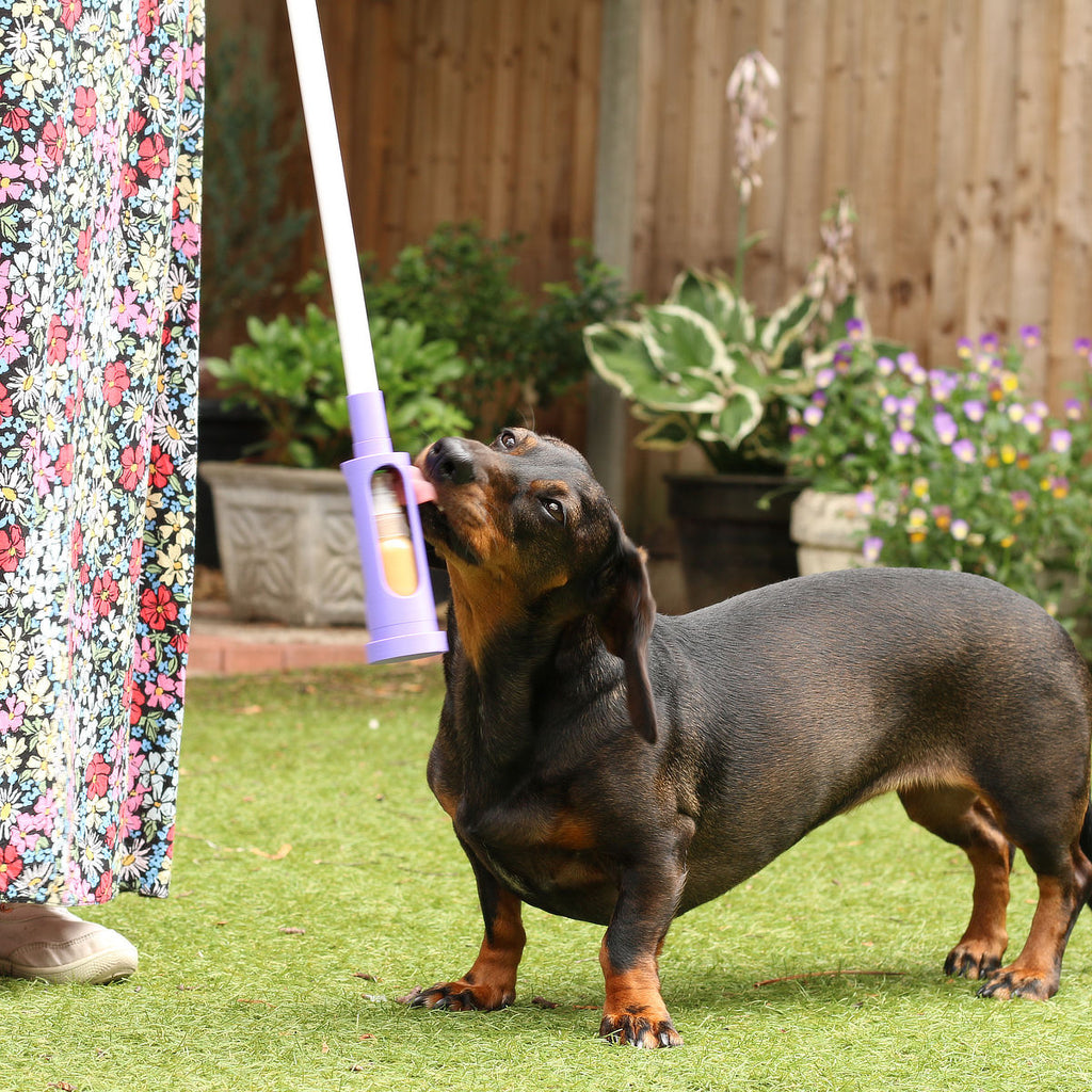 TrikStik Dog Treat Dispenser – Mess-free, Accessible Training Tool for Small & Medium Dogs (Early Access Beta Edition)