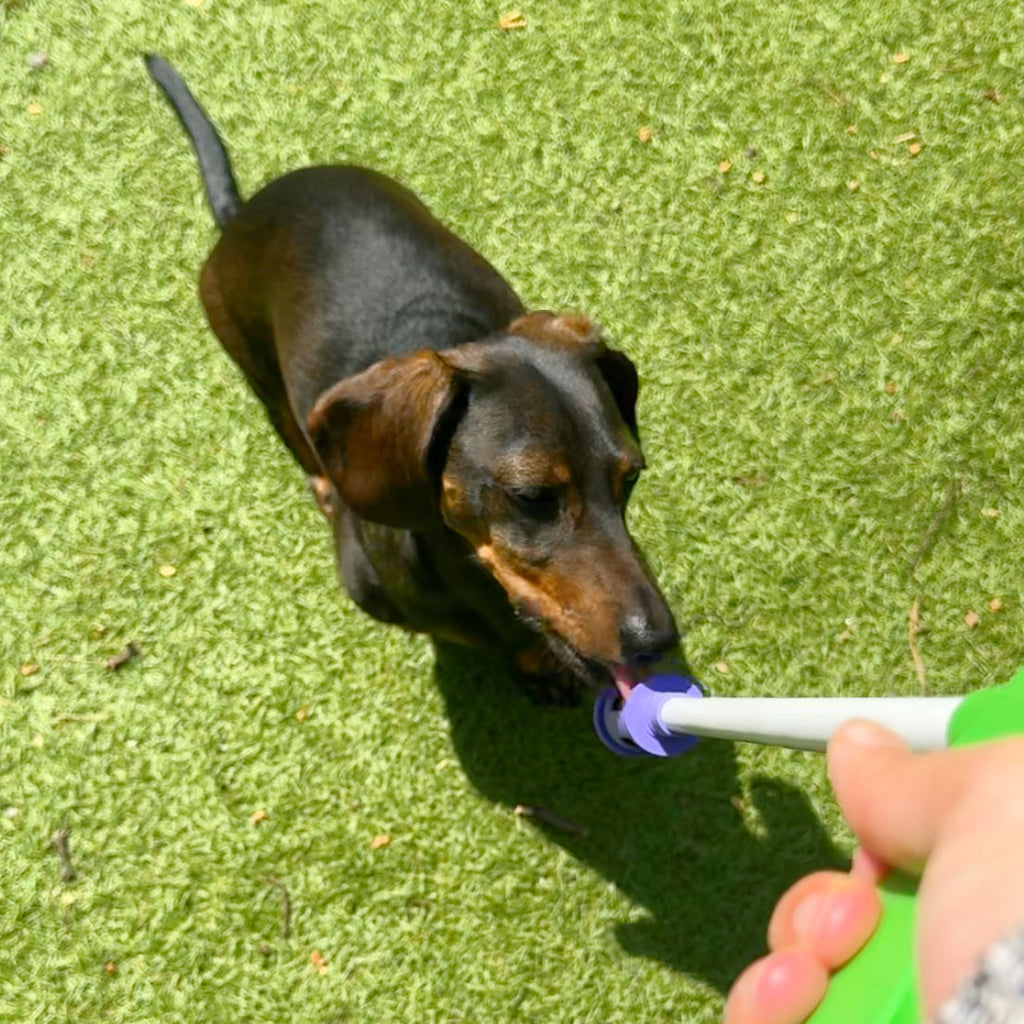 TrikStik Dog Treat Dispenser – Mess-free, Accessible Training Tool for Small & Medium Dogs (Early Access Beta Edition)